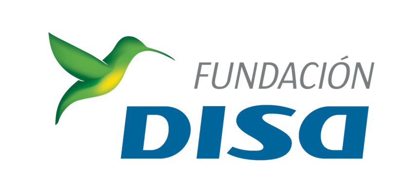 Fundación DISA